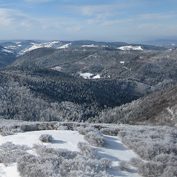 Plans des pistes Ski Alpin