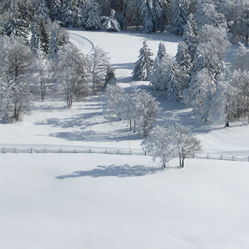 Gérardmer