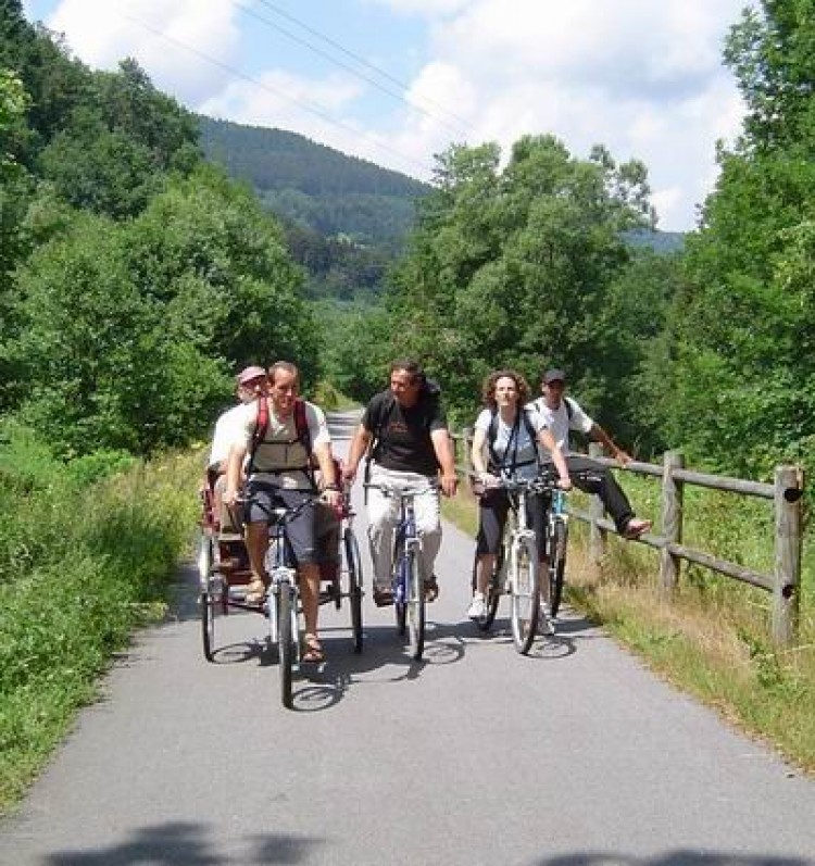 La Voie Verte des Hautes Vosges