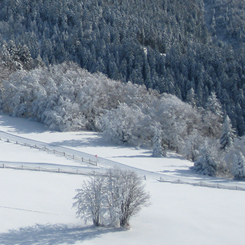 La Bresse