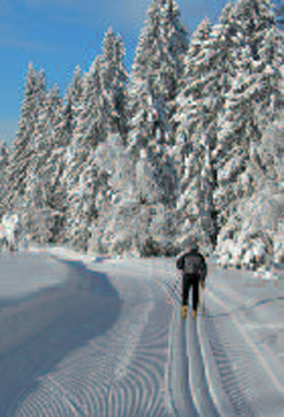 8 circuits of ski touring