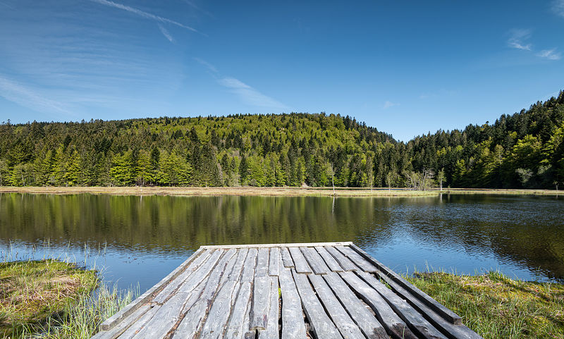 La Détente au Naturel