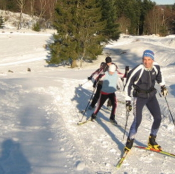 3 circuits de ski de fond