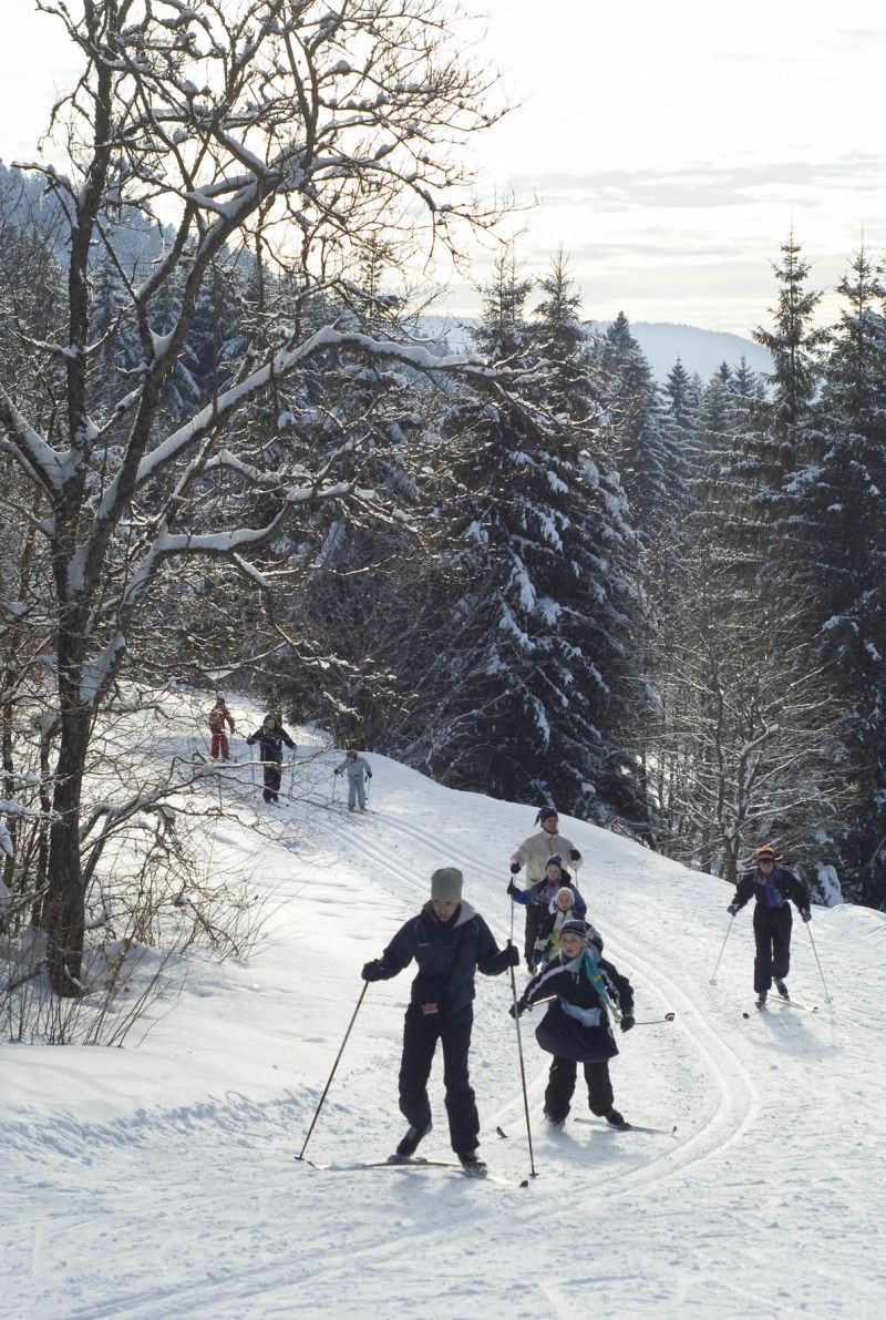 Cross-country skiing in Gérardmer