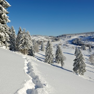 s16s-010-ml-ot-la-bresse-hiver2010-11-266