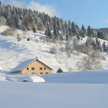 s16s-chajoux-la-bresse-88-credit-otl-2-265