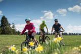 sports-passion-location-cycles-la-bresse-7