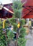 hotel-restaurant-les-chatelmines-la-bresse-5