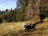 circuit-lochere