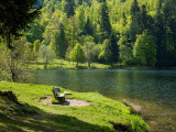 circuit-poussettes-tour-lac-blanchemer-la-bresse-3 circuit-poussettes-tour-lac-blanchemer-la-bresse-3