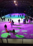 patinoire-la-bresse-1