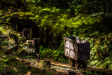 Hautes-Mynes-Le-Thillot-4 Hautes-Mynes-Le-Thillot-4