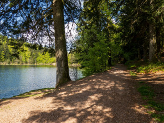 circuit-poussettes-tour-lac-blanchemer-la-bresse-1