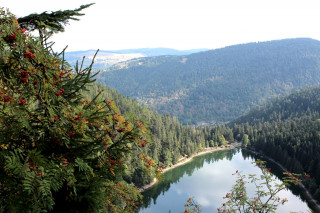 trail-roche-du-lac-haut-des-buches-la-bresse-1