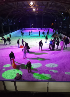 patinoire-la-bresse-1