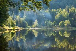 Lac-de-blanchemer-la-bresse-1
