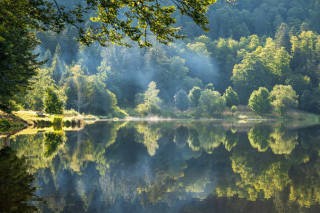Lac-de-blanchemer-la-bresse-1