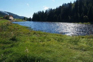 tourbieres-lispach-tenine-la-bresse-1