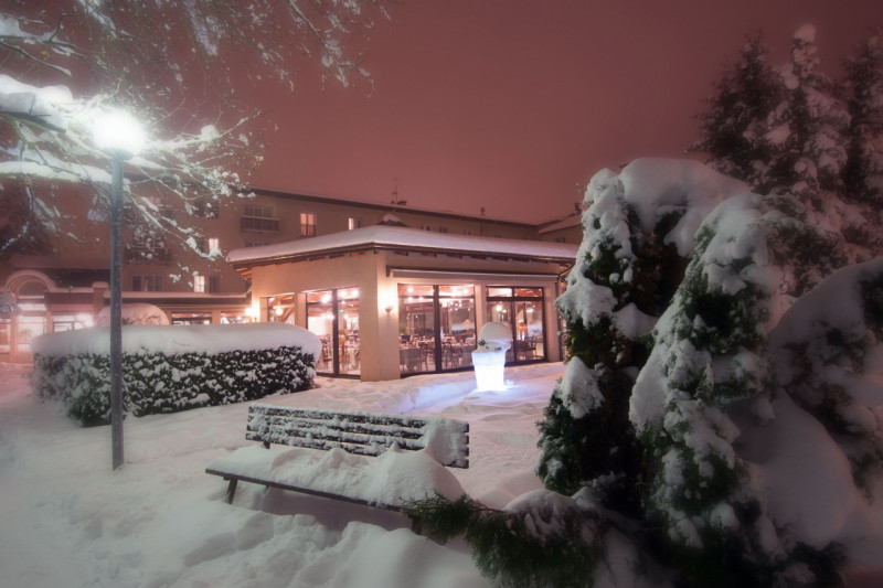 hotel-restaurant-les-vallees-labellemontagne-la-bresse-10 hotel-restaurant-les-vallees-labellemontagne-la-bresse-10