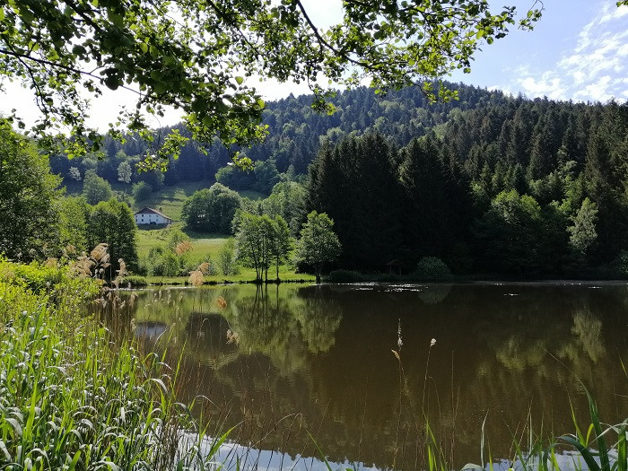 circuit-tour-des-presles