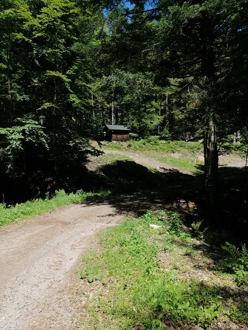 circuit-rouge-gazon circuit-rouge-gazon