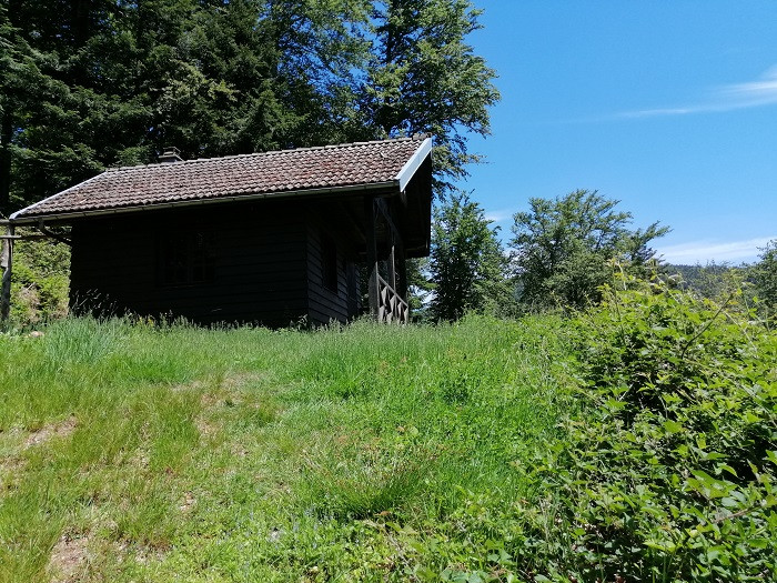 circuit-rouge-gazon-2 circuit-rouge-gazon-2