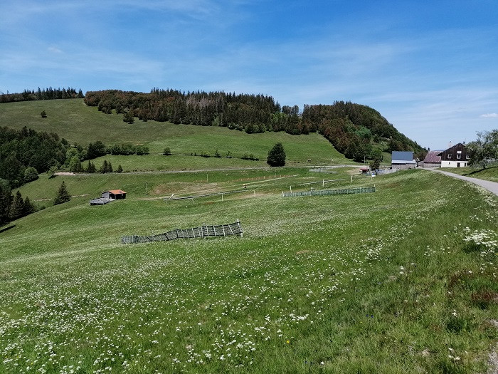 745004919_23 745004919_23