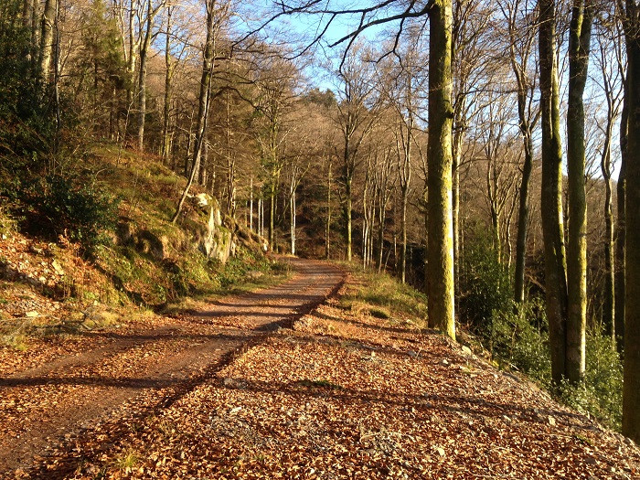 circuit-chalet-fraiteux-2 circuit-chalet-fraiteux-2