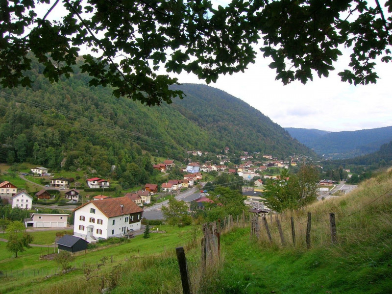 arboretum-la-bresse-1