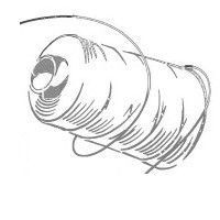 sentier-textile-la-bresse-2 sentier-textile-la-bresse-2