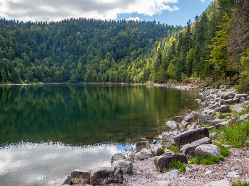 circuit-poussette-lac-corbeaux-la-bresse-3
