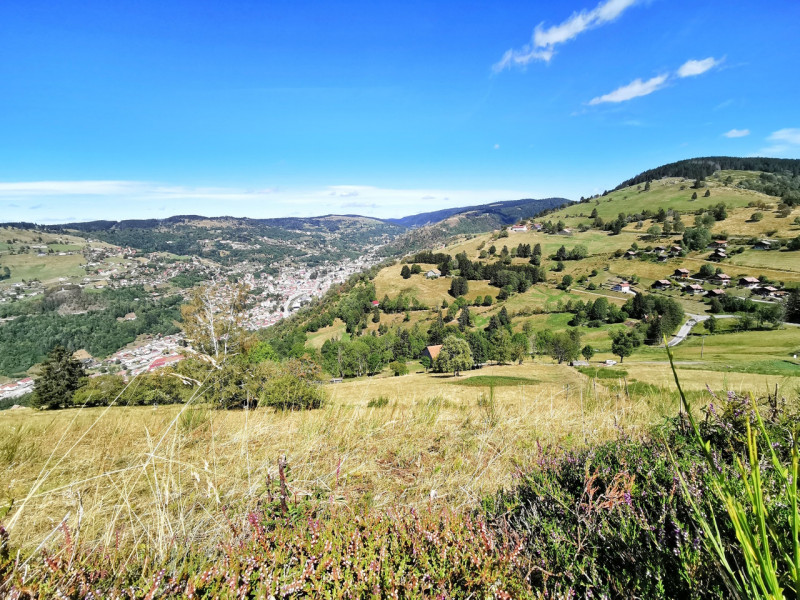 circuit-trail-les-bouchaux-la-bresse-1 circuit-trail-les-bouchaux-la-bresse-1