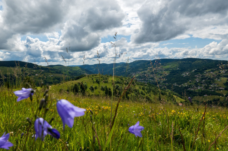 circuit-trail-la-crete-de-moyenmont-la-bresse-1 circuit-trail-la-crete-de-moyenmont-la-bresse-1