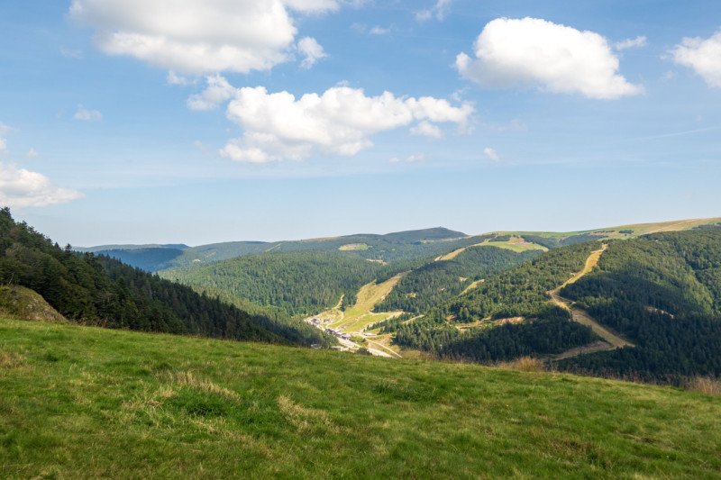 circuit-trail-les-champis-la-bresse-1 circuit-trail-les-champis-la-bresse-1