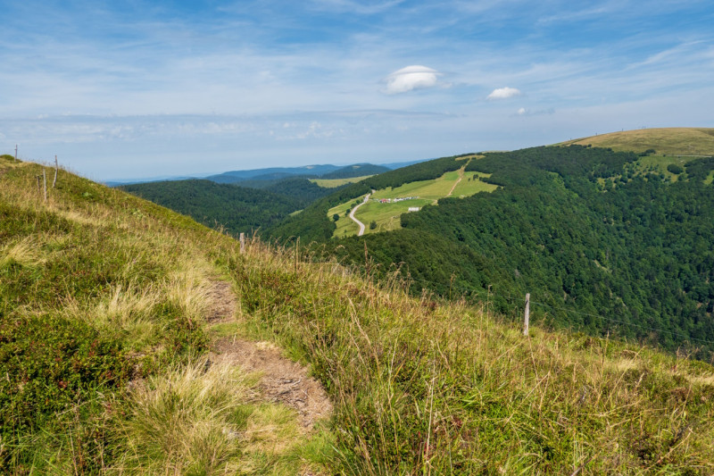 circuit-trail-le-rainkopf-la-bresse-1 circuit-trail-le-rainkopf-la-bresse-1