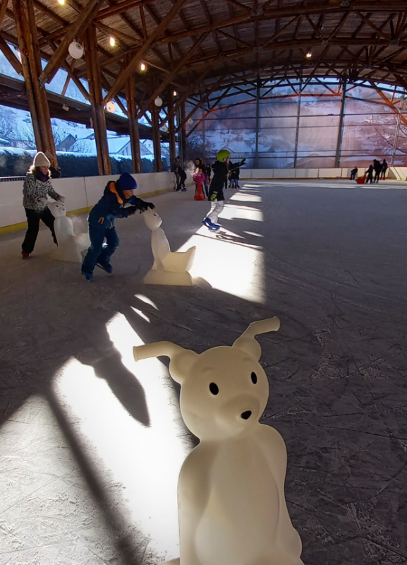 patinoire-la-bresse-2