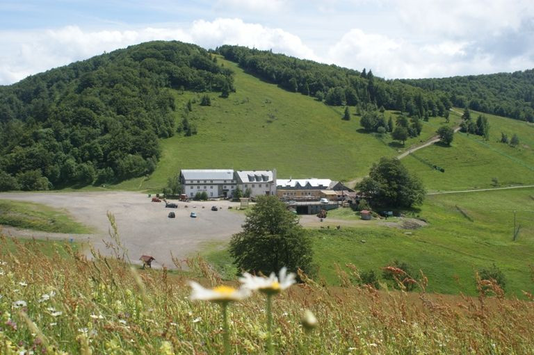 rouge-gazon-neufs-bois-saint-maurice-sur-moselle-1