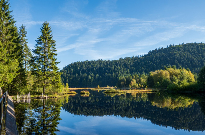 lac-lispach-la-bresse-1 lac-lispach-la-bresse-1
