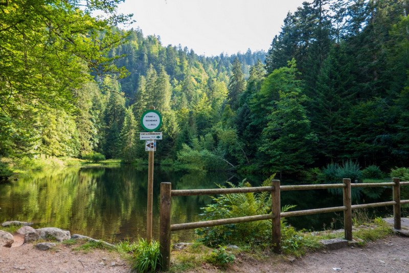 Etang-de-sechemer-la-bresse-1