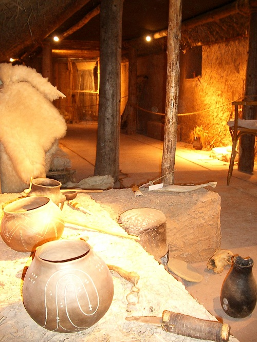 753003543_8 753003543_8