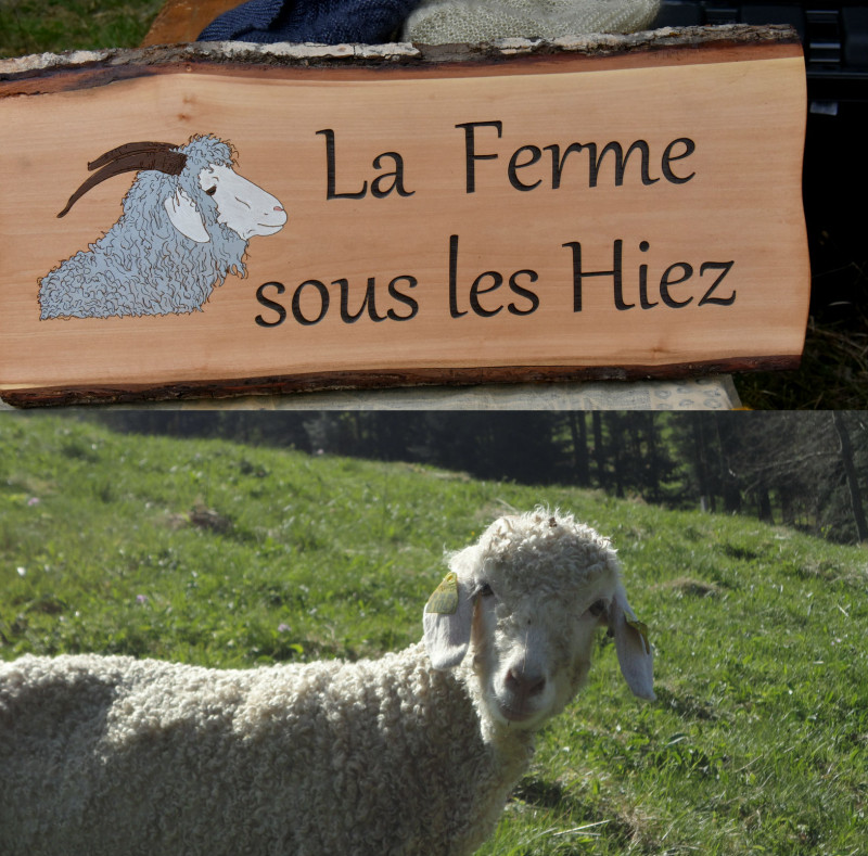 la-ferme-sous-les-hiez-cornimont-1 la-ferme-sous-les-hiez-cornimont-1