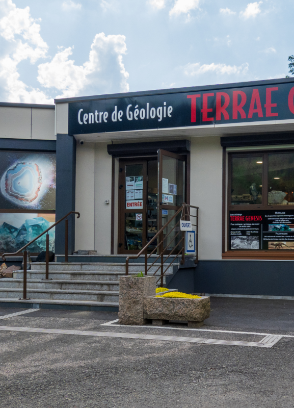 terrae-genesis-musee-le-syndicat-1 terrae-genesis-musee-le-syndicat-1