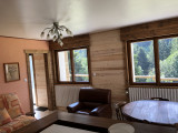  Appartement 4 personnes - Le Jardin des Brimbelles - Terrasse et jardin, à deux pas du domaine skiable - La Bresse Hautes Vosges