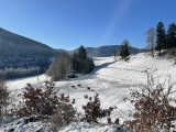 bussang-vosges-gite-la-cle-des-champs-2977-321759 bussang-vosges-gite-la-cle-des-champs-2977-321759