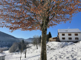 bussang-vosges-gite-la-cle-des-champs-2985-321761 bussang-vosges-gite-la-cle-des-champs-2985-321761