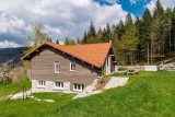 Chalet 8/10 personnes - Home des Bois - Haut standing au coeur de la nature - Ventron La Bresse Hautes Vosges