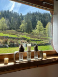  Chalet en rondin 7 personnes - La Bresse Hautes Vosges