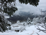 Chalet LM045 Hautes Vosges Matin d'Avril