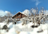 Esprit Chalet - 5 à 7 personnes - La Bresse Hautes Vosges