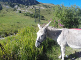 gopr0484-1281411